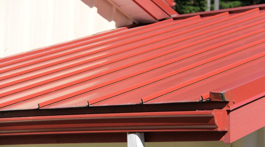 Gutter Debris Removal in Bellingham, MN